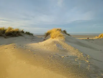 Oostnieuwkerke duinen wandeling in de koude (België)